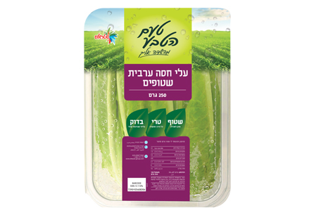 עלי חסה שטוף