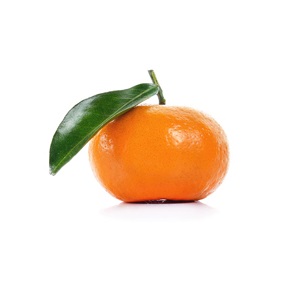 קלמנטנה אור