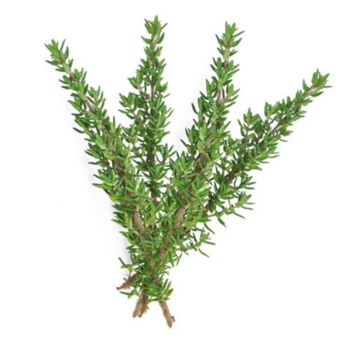 טימין