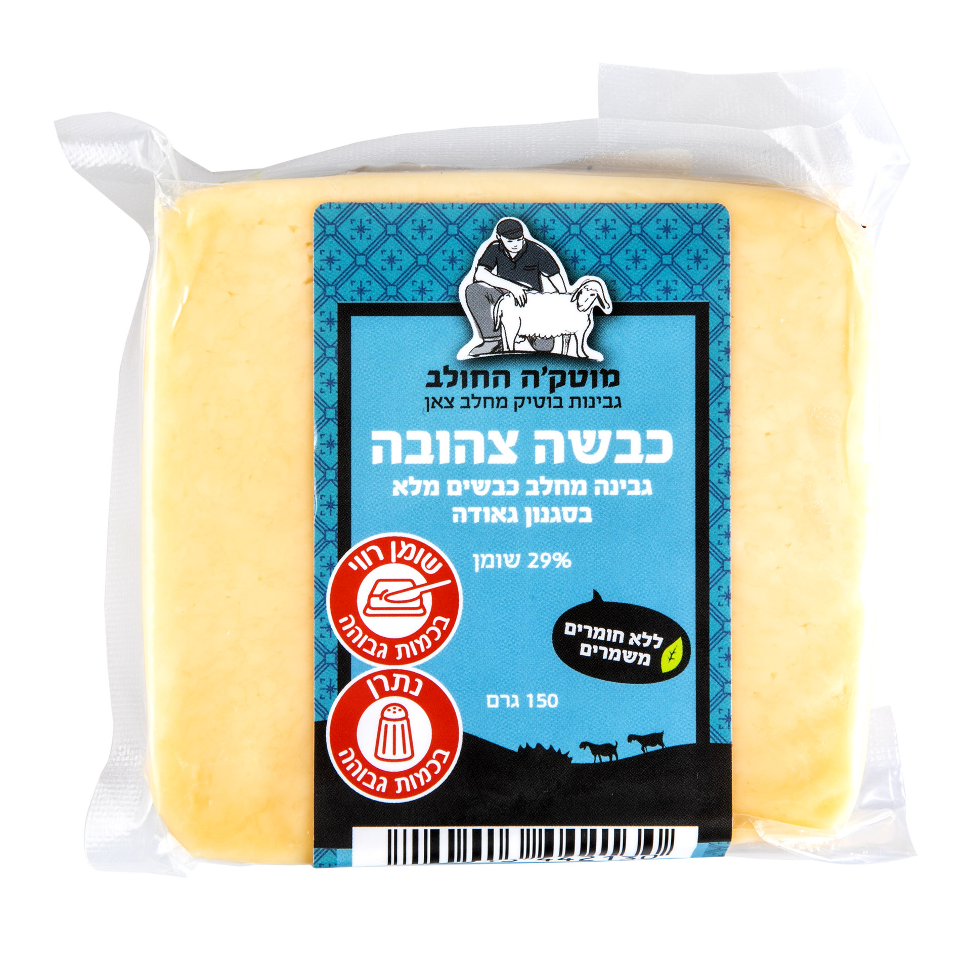 כבשה צהובה מוטקה