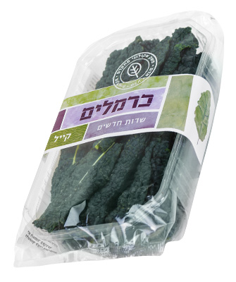 כרוב על-קייל