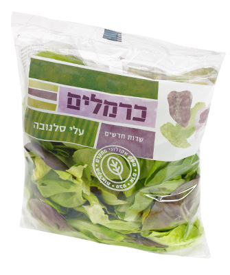 סלנובה עלים