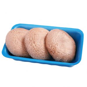 פטריות פורט' קילו