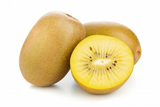 קיווי צהוב ניוזלנדי