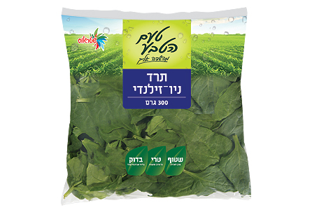 תרד ניו זילנדי